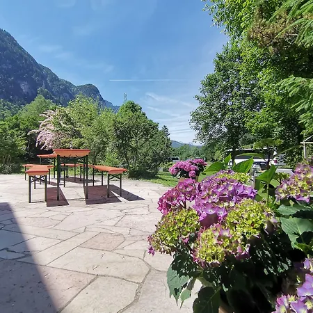 Bed & Breakfast Almhof Baumgarten 3*