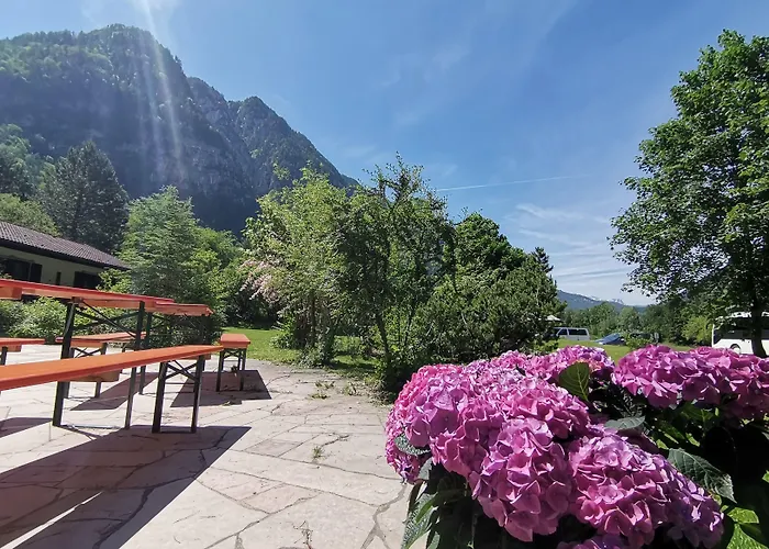 Almhof Baumgarten Bed and Breakfast