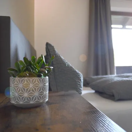 Bed & Breakfast Almhof Baumgarten 3*