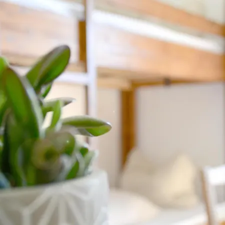 Almhof Baumgarten Отель типа 