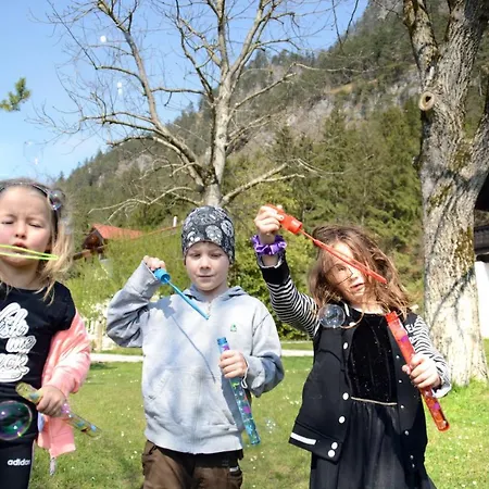 Almhof Baumgarten Frühstückspension 3*