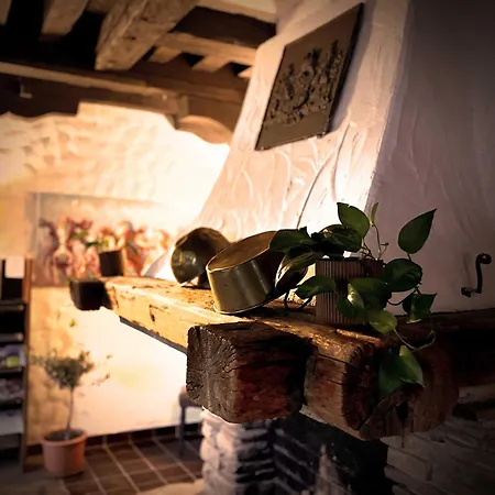 Almhof Baumgarten 住宿加早餐酒店