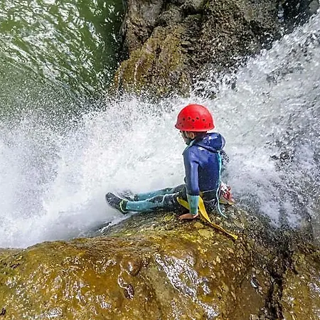 Almhof Baumgarten 3*