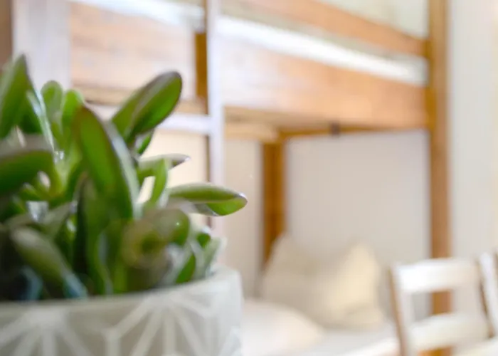 Almhof Baumgarten Bed & Breakfast Bad Reichenhall